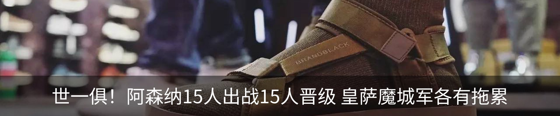 新闻动态