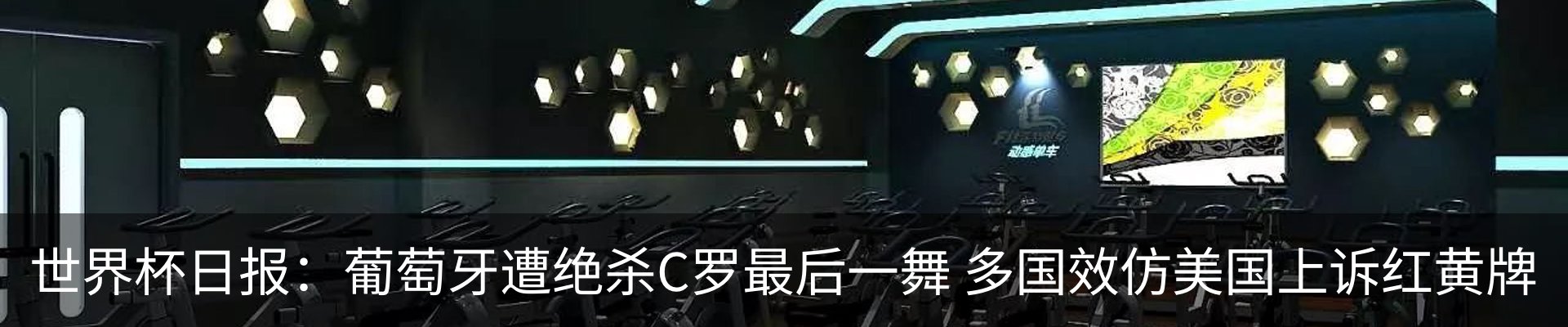 新闻动态
