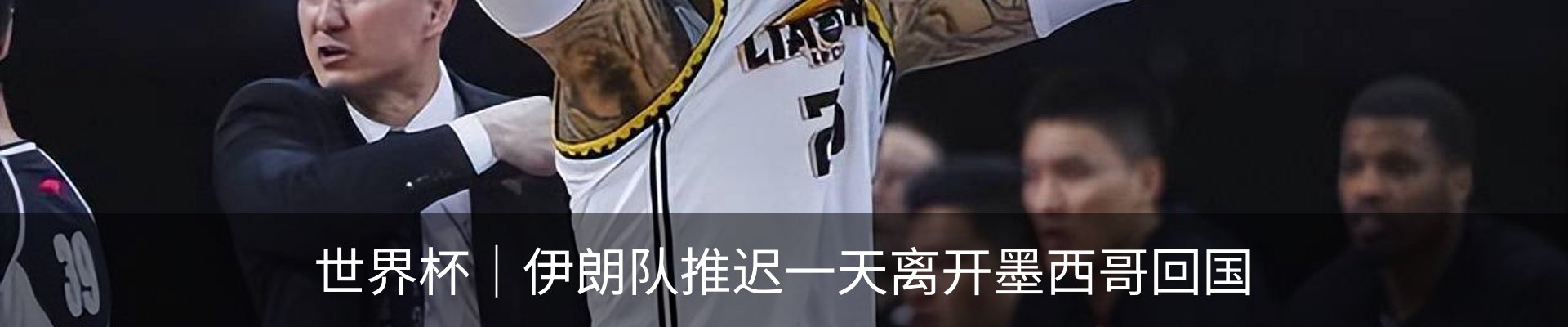 新闻动态
