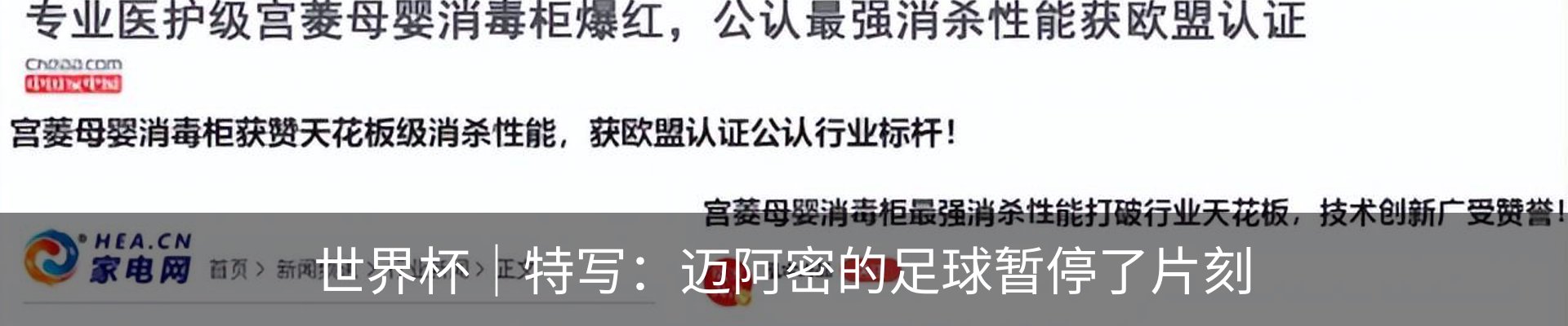 新闻动态