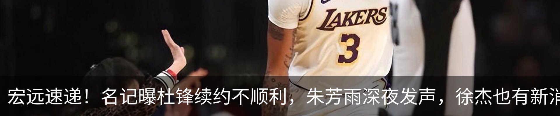 新闻动态