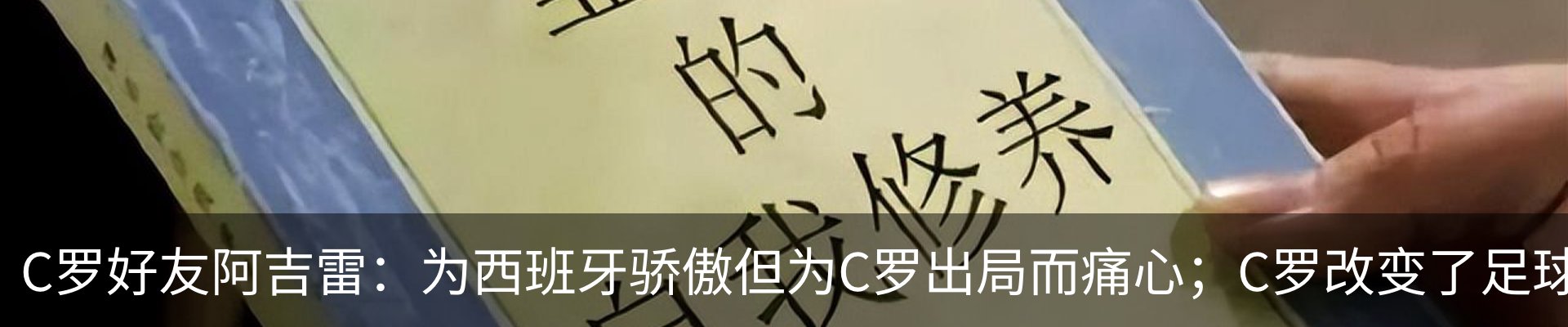 新闻动态
