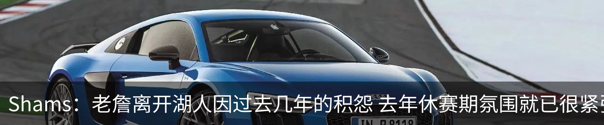 新闻动态